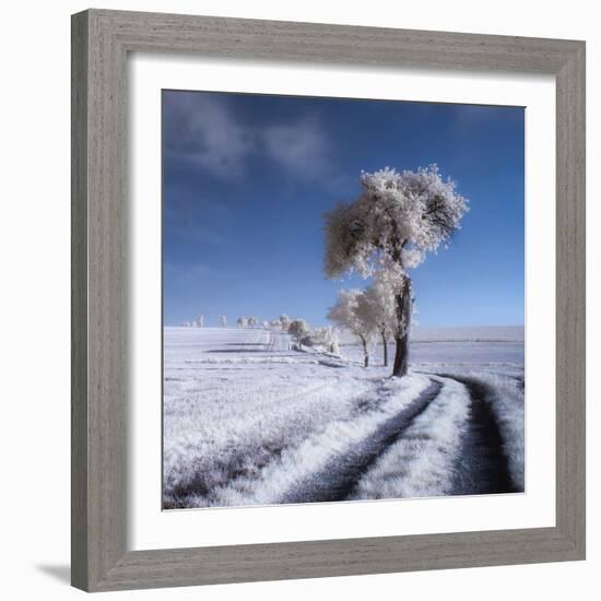 winter in summer-Piotr Krol (Bax)-Framed Photographic Print