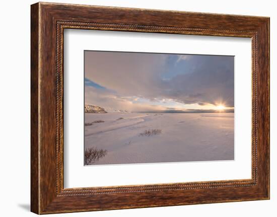 Winter in the Sun-Philippe Sainte-Laudy-Framed Photographic Print