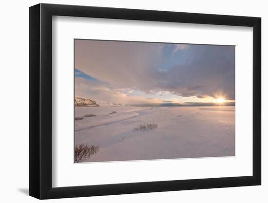 Winter in the Sun-Philippe Sainte-Laudy-Framed Photographic Print