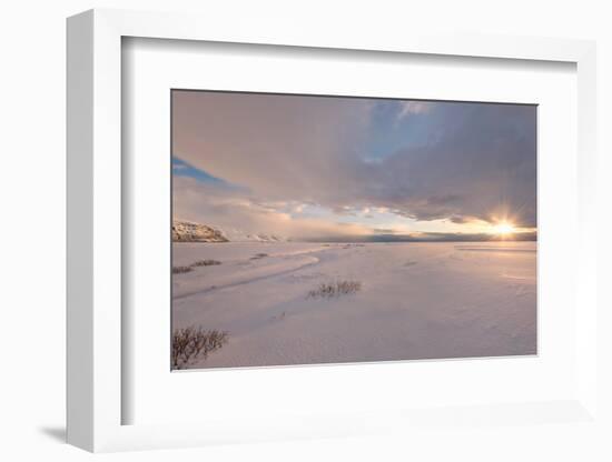 Winter in the Sun-Philippe Sainte-Laudy-Framed Photographic Print