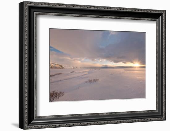 Winter in the Sun-Philippe Sainte-Laudy-Framed Photographic Print