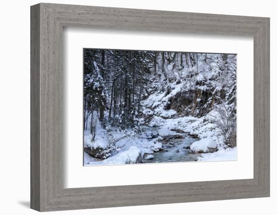 Winter in the Vrata valley-Simone Wunderlich-Framed Photographic Print