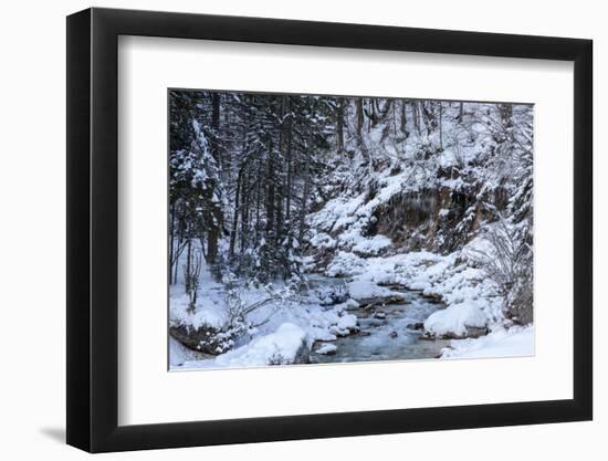 Winter in the Vrata valley-Simone Wunderlich-Framed Photographic Print