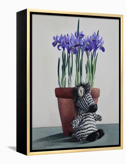 Winter Irises and Zebra-Christopher Ryland-Framed Premier Image Canvas