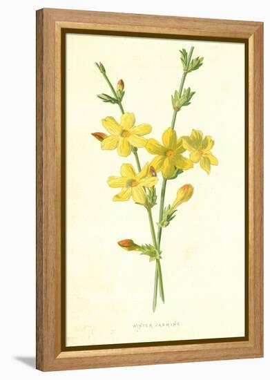 Winter Jasmine-Frederick Edward Hulme-Framed Premier Image Canvas