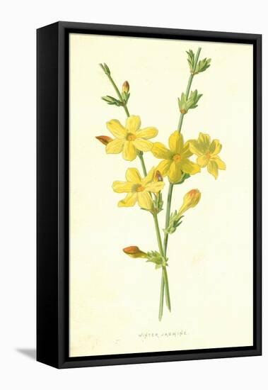 Winter Jasmine-Frederick Edward Hulme-Framed Premier Image Canvas