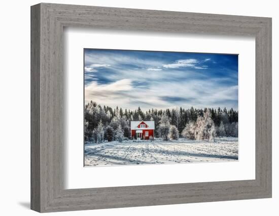 Winter Kingdom-Philippe Sainte-Laudy-Framed Photographic Print