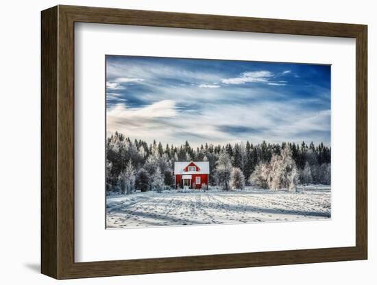 Winter Kingdom-Philippe Sainte-Laudy-Framed Photographic Print