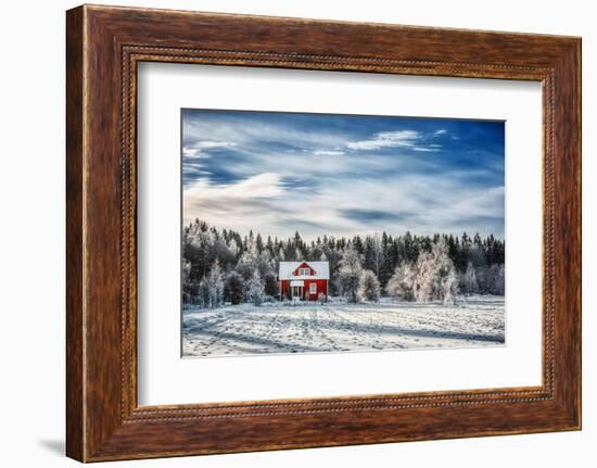 Winter Kingdom-Philippe Sainte-Laudy-Framed Photographic Print