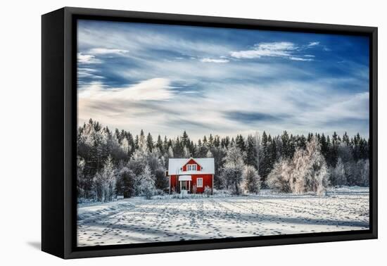 Winter Kingdom-Philippe Sainte-Laudy-Framed Premier Image Canvas