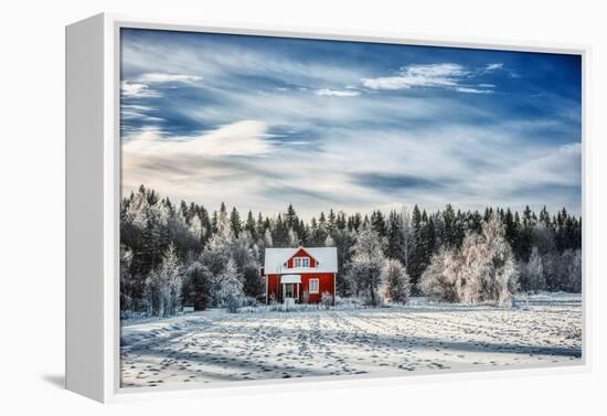 Winter Kingdom-Philippe Sainte-Laudy-Framed Premier Image Canvas