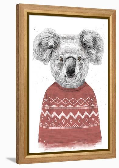 Winter Koala (Red)-Balazs Solti-Framed Premier Image Canvas