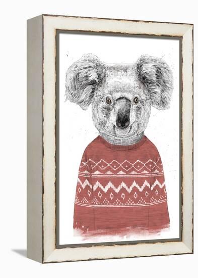 Winter Koala (Red)-Balazs Solti-Framed Premier Image Canvas