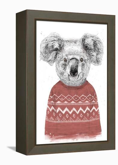 Winter Koala (Red)-Balazs Solti-Framed Premier Image Canvas