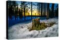 Stretched Canvas Print