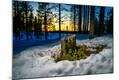 Photographic Print