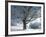 Winter Landscape at Thurner, Black Forest, Baden-Wurttemberg, Germany, Europe-Hans Peter Merten-Framed Photographic Print