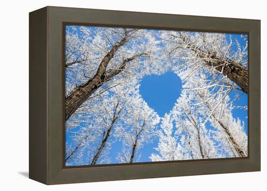 Winter Landscape,Branches Form a Heart-Shaped Pattern-06photo-Framed Premier Image Canvas