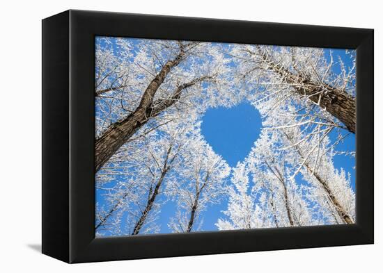 Winter Landscape,Branches Form a Heart-Shaped Pattern-06photo-Framed Premier Image Canvas