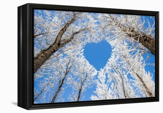 Winter Landscape,Branches Form a Heart-Shaped Pattern-06photo-Framed Premier Image Canvas