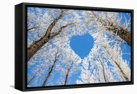 Winter Landscape,Branches Form a Heart-Shaped Pattern-06photo-Framed Premier Image Canvas