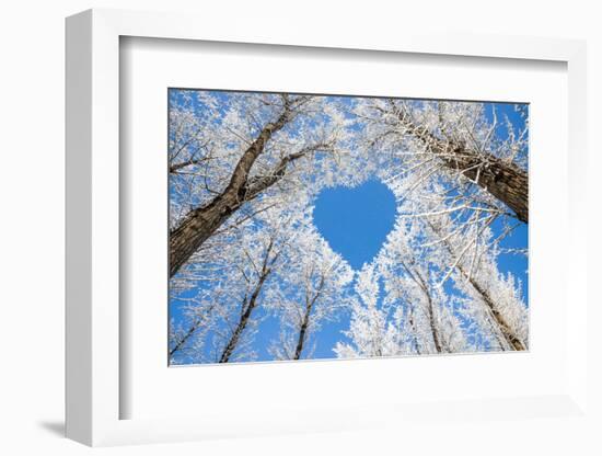 Winter Landscape,Branches Form a Heart-Shaped Pattern-06photo-Framed Premium Photographic Print