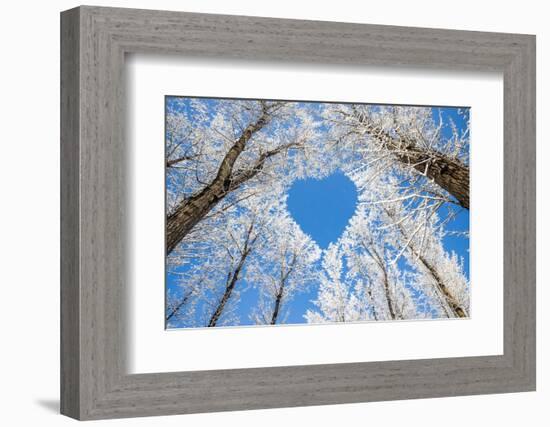 Winter Landscape,Branches Form a Heart-Shaped Pattern-06photo-Framed Photographic Print