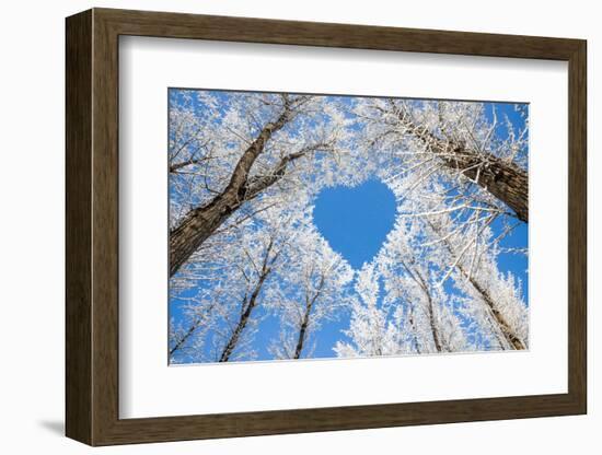 Winter Landscape,Branches Form a Heart-Shaped Pattern-06photo-Framed Photographic Print