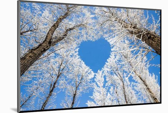 Winter Landscape,Branches Form a Heart-Shaped Pattern-06photo-Mounted Photographic Print