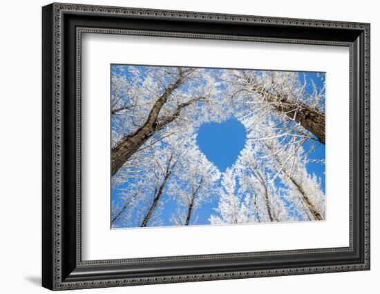 Winter Landscape,Branches Form a Heart-Shaped Pattern-06photo-Framed Photographic Print