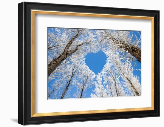 Winter Landscape,Branches Form a Heart-Shaped Pattern-06photo-Framed Photographic Print