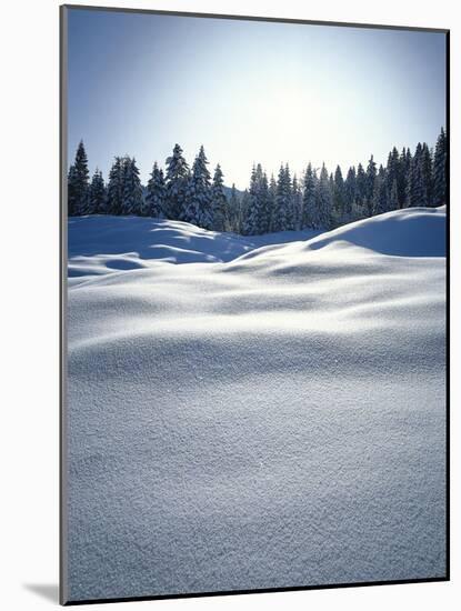 Winter Landscape, Edge of the Forest, Snow Surface-Thonig-Mounted Photographic Print