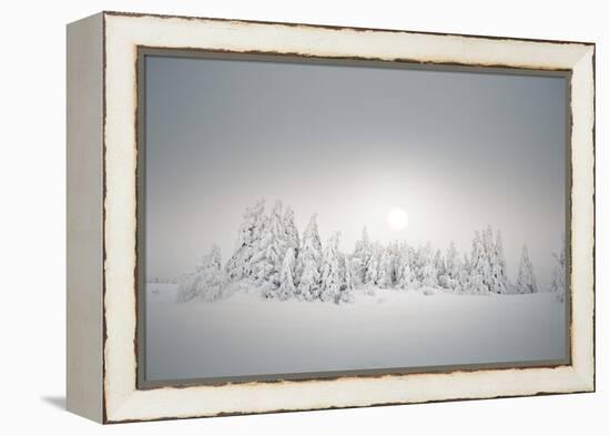 Winter Landscape, Forest, Twilight Series, Nature, Vegetation-Roland T.-Framed Premier Image Canvas