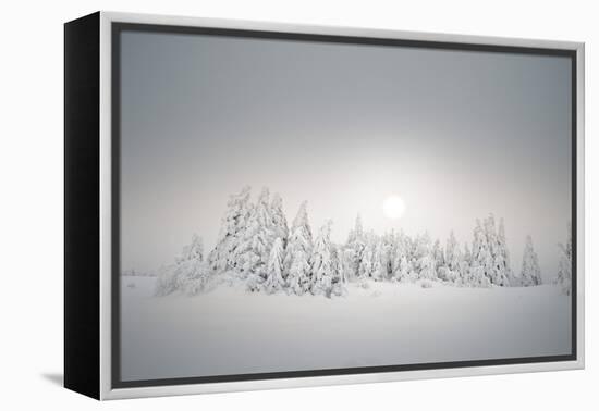 Winter Landscape, Forest, Twilight Series, Nature, Vegetation-Roland T.-Framed Premier Image Canvas