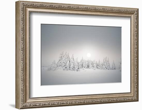 Winter Landscape, Forest, Twilight Series, Nature, Vegetation-Roland T.-Framed Photographic Print