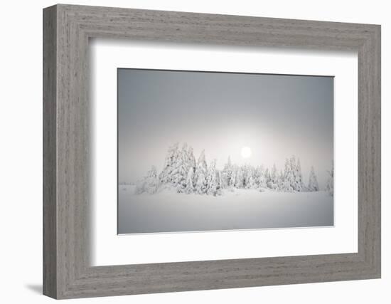 Winter Landscape, Forest, Twilight Series, Nature, Vegetation-Roland T.-Framed Photographic Print