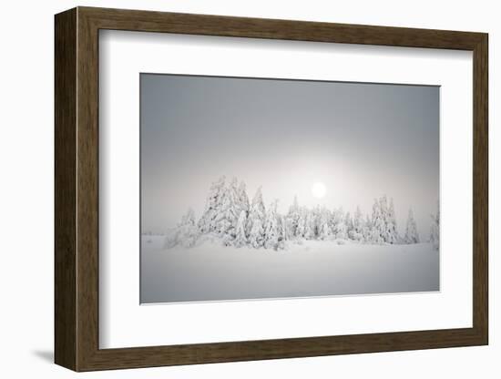 Winter Landscape, Forest, Twilight Series, Nature, Vegetation-Roland T.-Framed Photographic Print