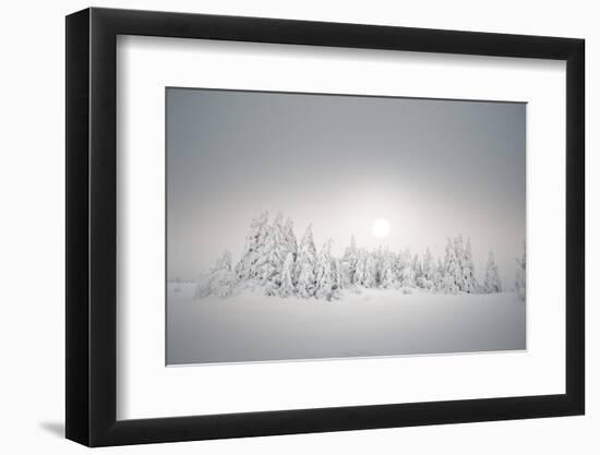 Winter Landscape, Forest, Twilight Series, Nature, Vegetation-Roland T.-Framed Photographic Print