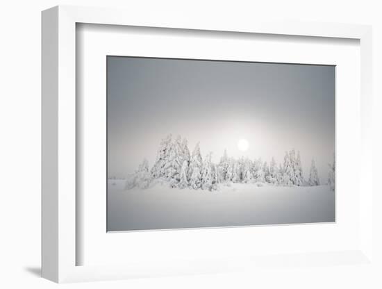 Winter Landscape, Forest, Twilight Series, Nature, Vegetation-Roland T.-Framed Photographic Print