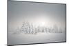 Winter Landscape, Forest, Twilight Series, Nature, Vegetation-Roland T.-Mounted Photographic Print