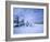 Winter Landscape, Hudson Bay, Manitoba, Canada-Thorsten Milse-Framed Photographic Print