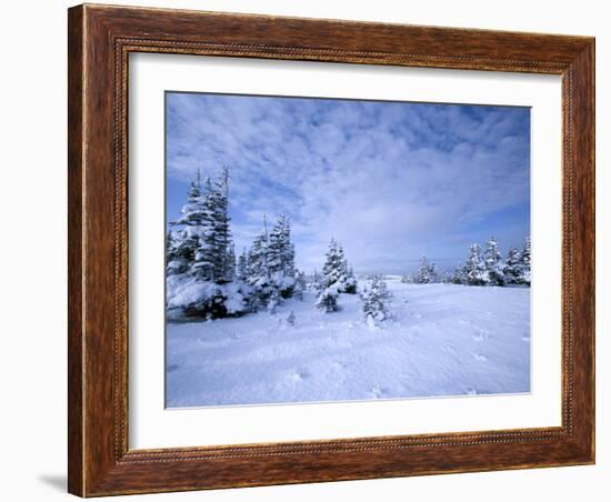 Winter Landscape, Hudson Bay, Manitoba, Canada-Thorsten Milse-Framed Photographic Print