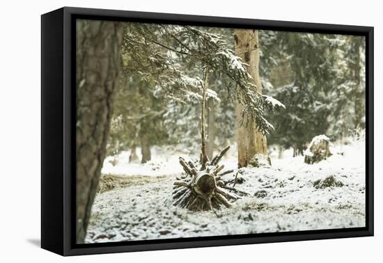 Winter Landscape in Bavaria - Snow-Petra Daisenberger-Framed Premier Image Canvas