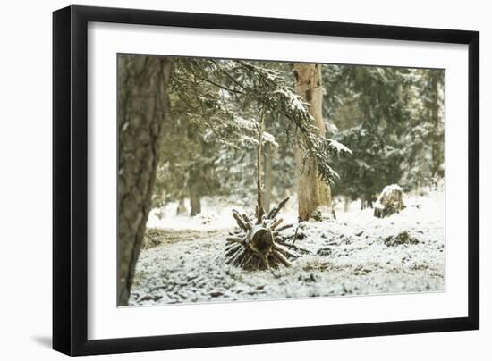 Winter Landscape in Bavaria - Snow-Petra Daisenberger-Framed Photographic Print