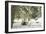 Winter Landscape in Bavaria - Snow-Petra Daisenberger-Framed Photographic Print