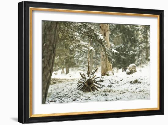 Winter Landscape in Bavaria - Snow-Petra Daisenberger-Framed Photographic Print