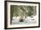 Winter Landscape in Bavaria - Snow-Petra Daisenberger-Framed Photographic Print