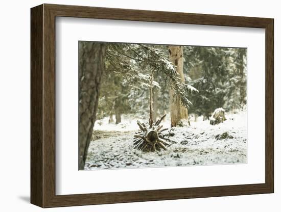 Winter Landscape in Bavaria - Snow-Petra Daisenberger-Framed Photographic Print