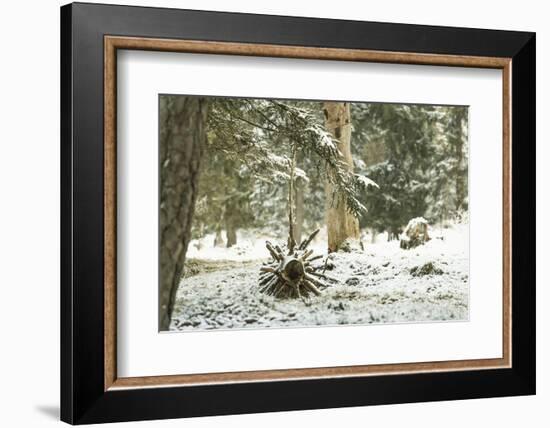 Winter Landscape in Bavaria - Snow-Petra Daisenberger-Framed Photographic Print