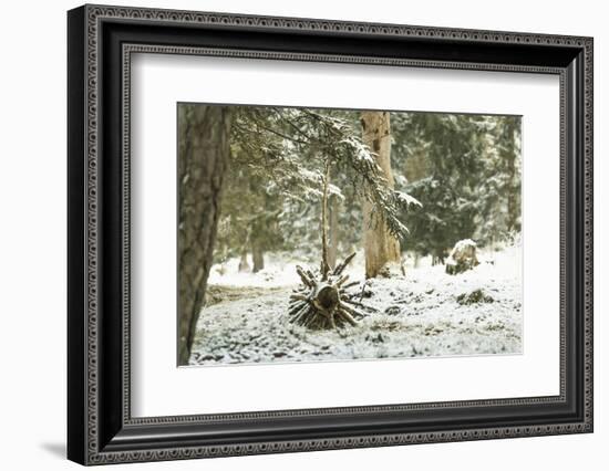 Winter Landscape in Bavaria - Snow-Petra Daisenberger-Framed Photographic Print